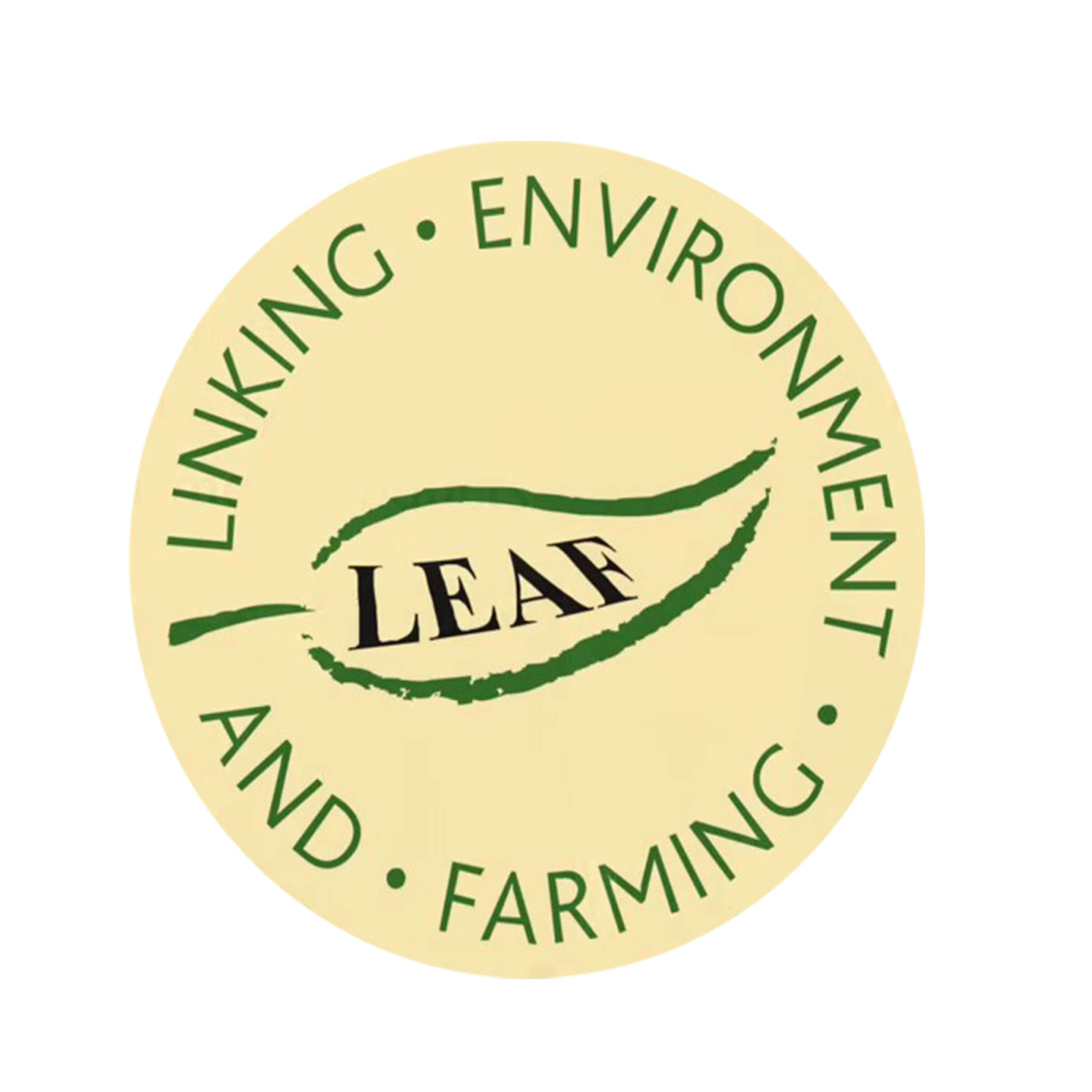 LEAF Marque