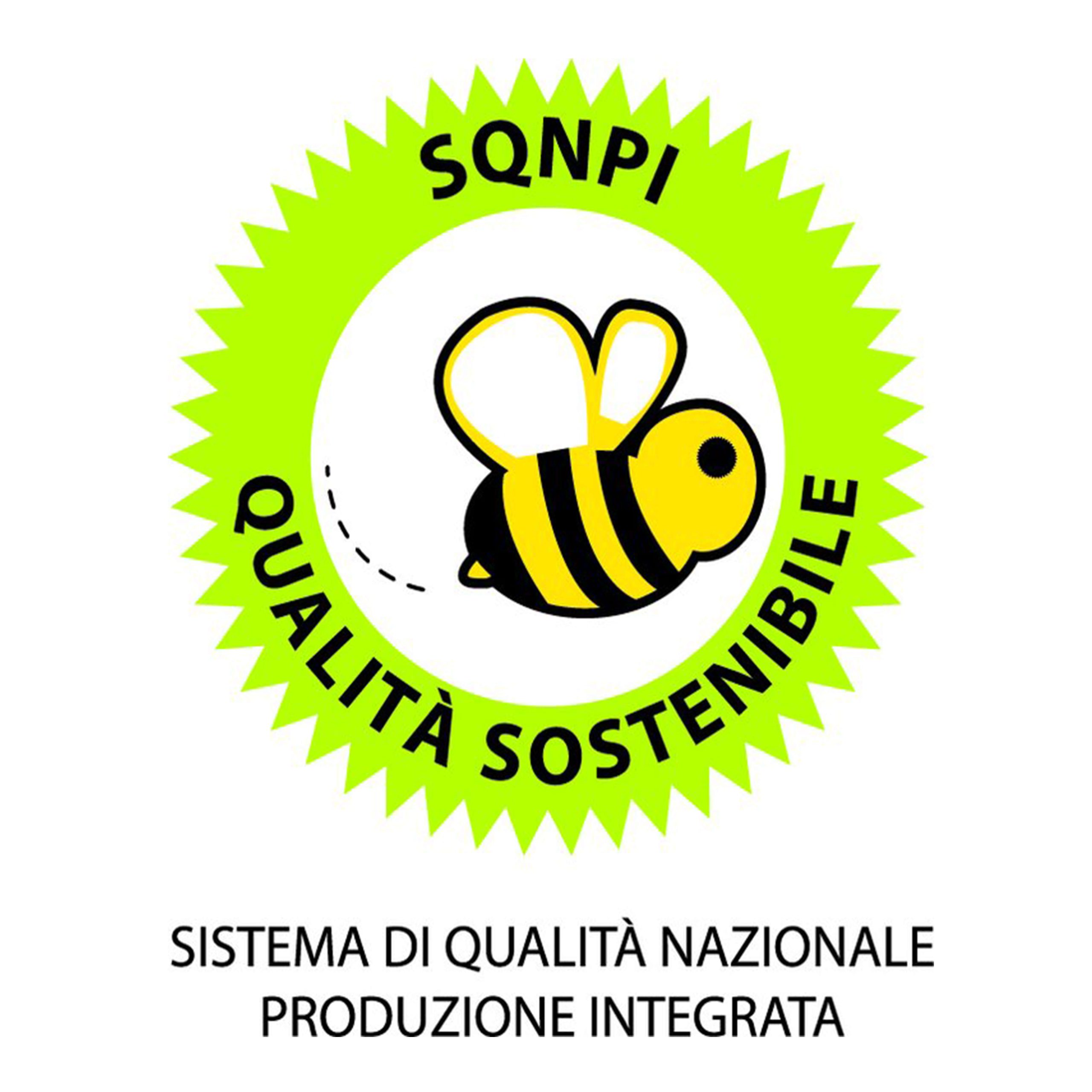 Produzione Integrata