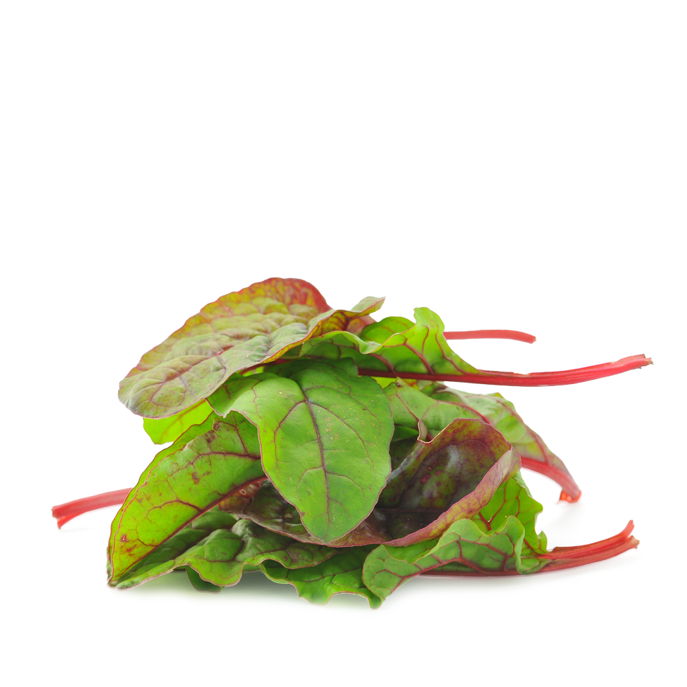 Red chard