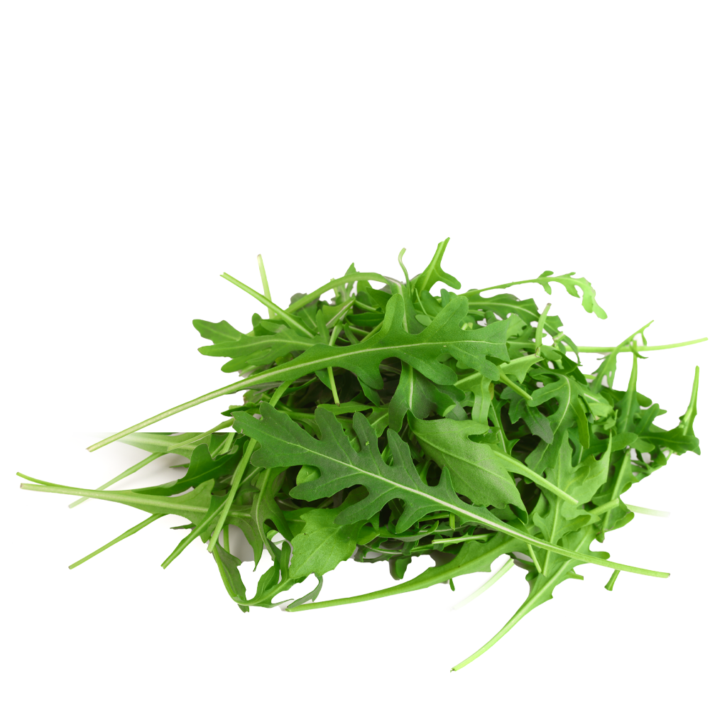 Rucola selvatica